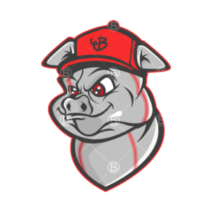 pig