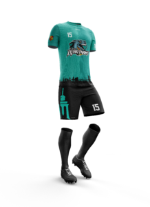 LIEGE_TEAL-FULL_face